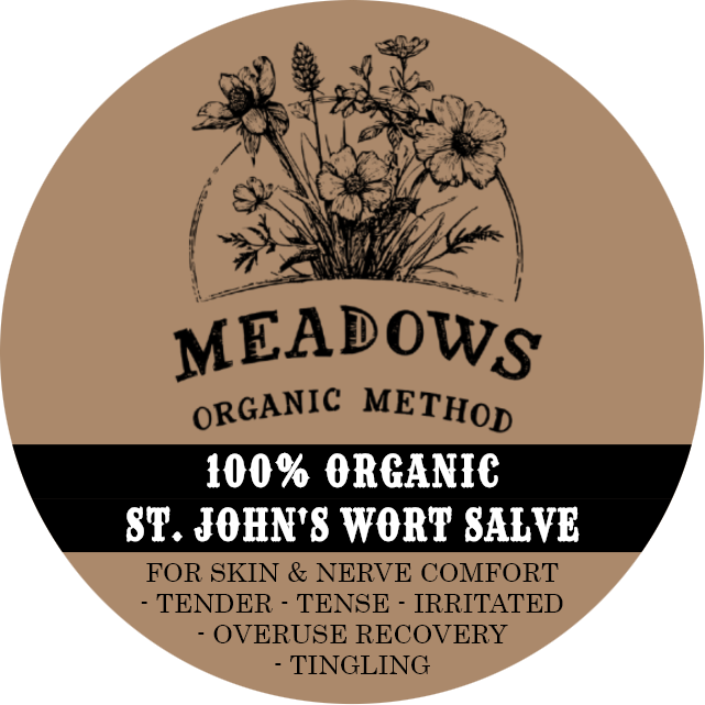 St John's Wort Salve - Nerve Comfort