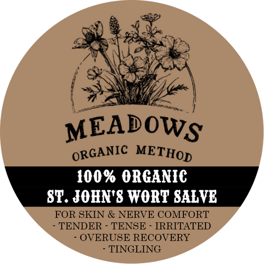 St John's Wort Salve - Nerve Comfort