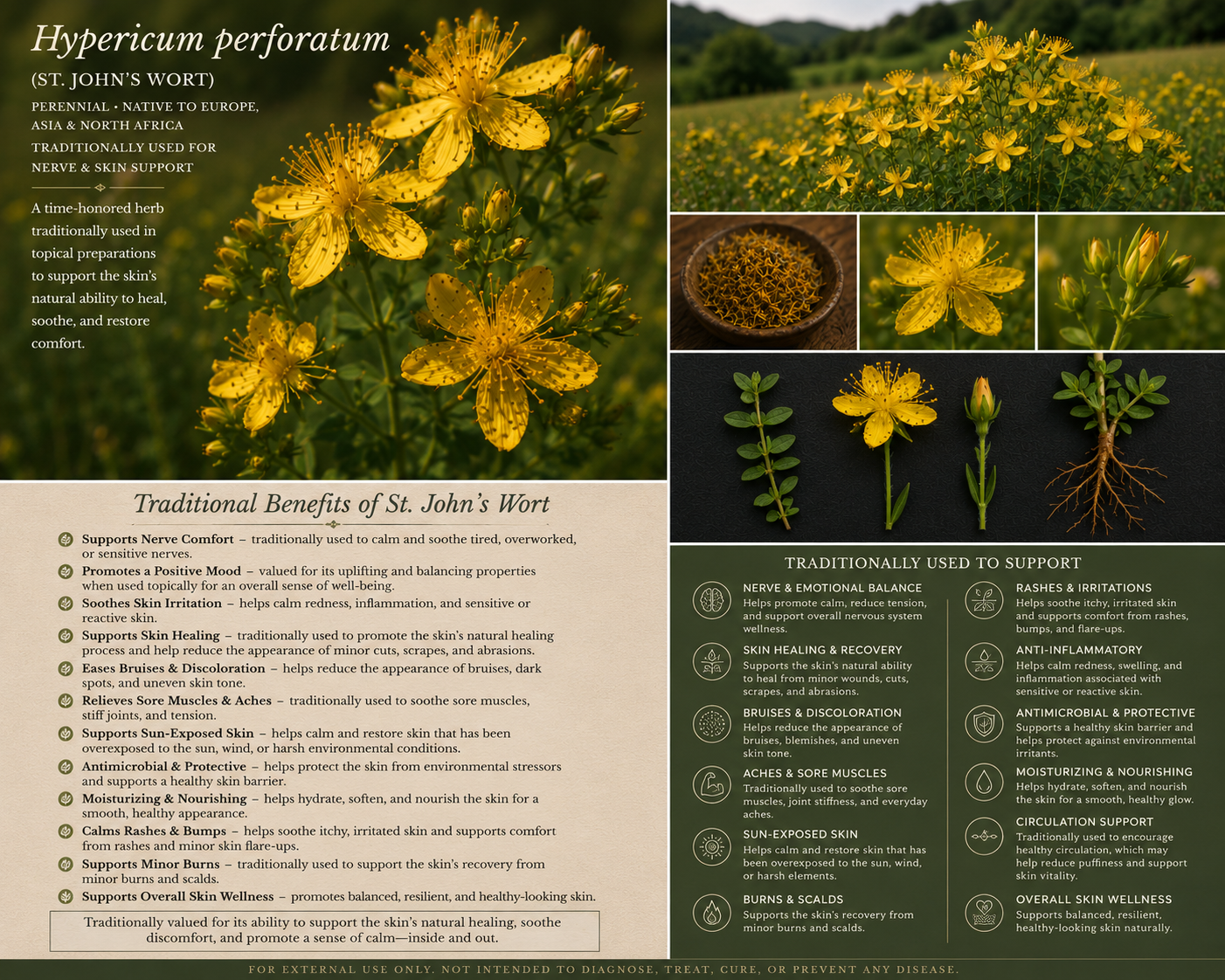 St John's Wort Salve - Nerve Comfort